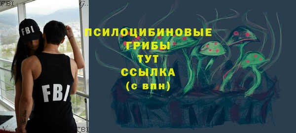 первитин Осташков