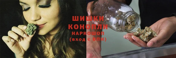 гидра Осинники