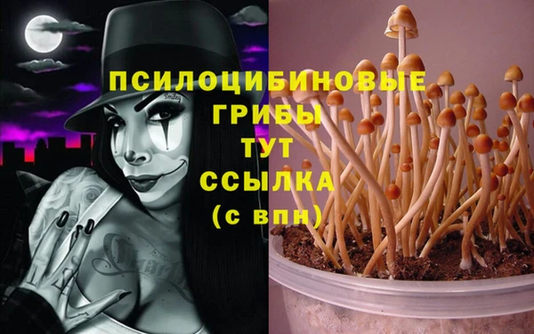 mdma Няндома