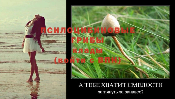 первитин Осташков