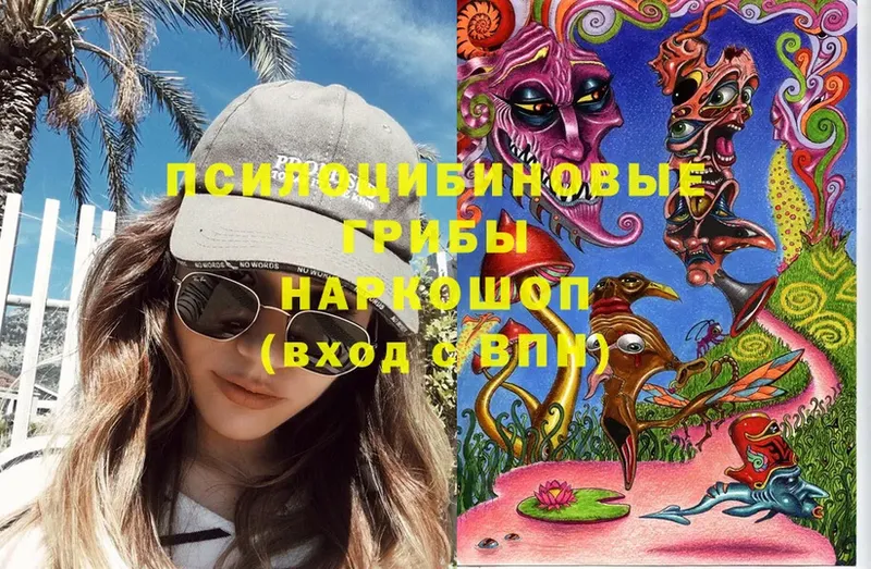 Галлюциногенные грибы Cubensis  Собинка 