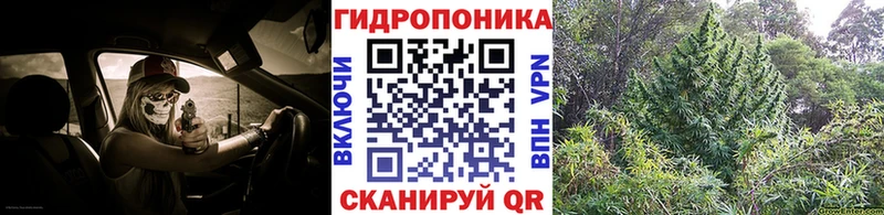 Бошки марихуана MAZAR  kraken онион  Собинка 